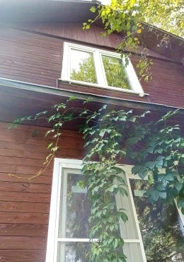 Новый альбом - 7